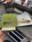 IMG_3299.jpeg