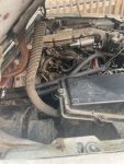 IMG_4046.jpeg