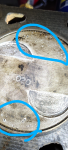 Screenshot_20250531-081521_Photos.png