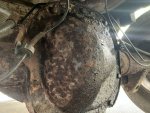 IMG_4031.jpeg