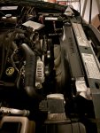 IMG_4733.jpeg
