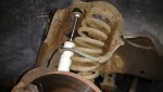 Ford Coil Spring 1.jpg