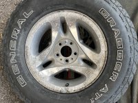 IMG_9519.jpeg