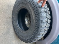 IMG_9527.jpeg