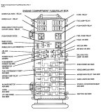 IMG_7300.jpeg