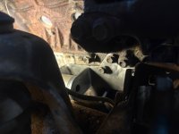 IMG_6415.jpeg
