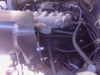 IMG_20250816_142401.jpg