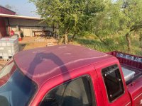 IMG_6788.jpeg