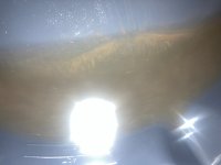 IMG_9305.jpeg