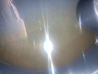 IMG_9310.jpeg