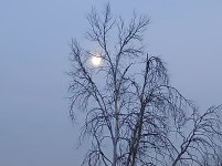 20250904_195250.jpg