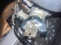 IMG_9491.jpeg