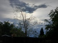 20250910_173640.jpg