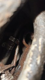 IMG_1328.jpeg