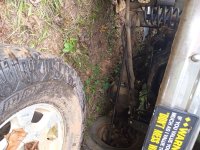 IMG_20250929_175633215.jpg