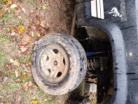 IMG_20250929_175614493.jpg