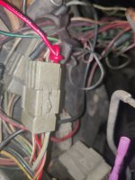 IMG_20251005_031926.jpg