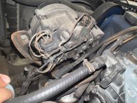 thumbnail_IMG_6096.jpg