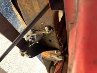 IMG_1329.jpeg