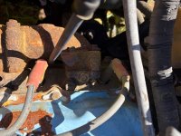IMG_0445.jpeg