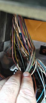 IMG20250923135309.jpg