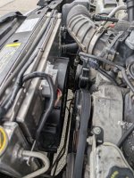 PXL_20251029_201054006.jpg PXL_20251029_201054006.jpg