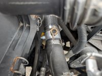 PXL_20251029_201104177.jpg PXL_20251029_201104177.jpg