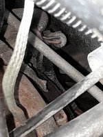 20251128_162407.jpg 20251128_162407.jpg