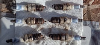 old_spark_plugs_3L_V6_vulcan_1999.jpg