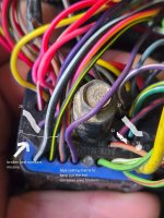 dolts 42 pin conn.jpg