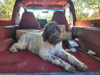 1989 Interior Leak ID and Fix 1989 Interior Leak ID and Fix