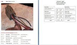 C102 notes image.JPG