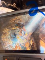 2003 ford ranger edge 3.0 2wd stuck open intake valves