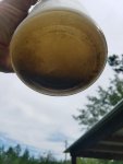 Fuel filter 1.jpg