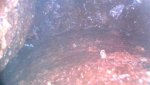 coolant passages.jpg