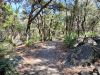 What did you do to your Ranger today? (Part Deux!)