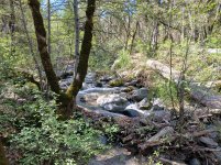 What did you do to your Ranger today? (Part Deux!)