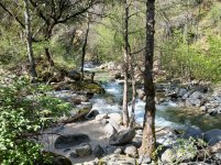 What did you do to your Ranger today? (Part Deux!)