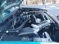 What did YOU do today?