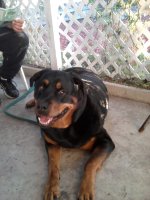 What did YOU do today?