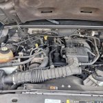 Members By Location - Southeast