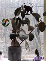 WHO HAS SOME BEAUTIFUL PICTURES TO SHARE?????