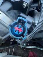 Mysterious Blue Plug