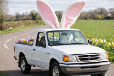 Happy Easter everyone!