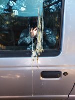 What animal did this on my ranger