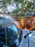 What animal did this on my ranger