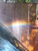 What animal did this on my ranger