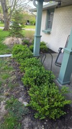 What did you do to your Ranger today? (Part Deux!)