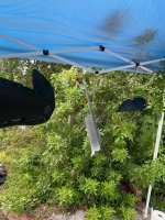 2006 FX4 Daily / Offroad Build