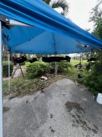 2006 FX4 Daily / Offroad Build